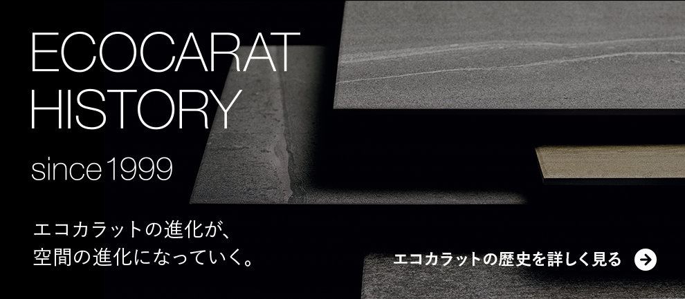 ECOCARAT HISTORY since 199 詳しく見る→