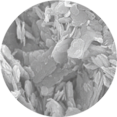 孔の顕微鏡写真