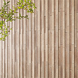 陶連子（とうれんじ）