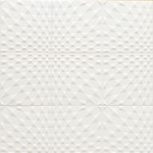 タイル画像 NTC1N