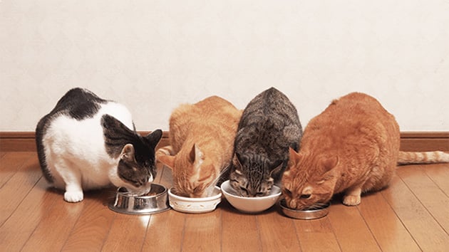 「ニオイを抑えるには」のイメージ写真