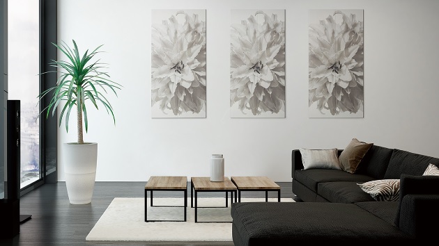 エコカラットプラスを張った事例④