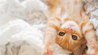 暮らしの提案14