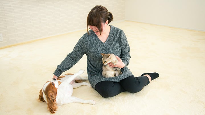 リビングで愛猫、愛犬と遊ぶ佐助ママさん