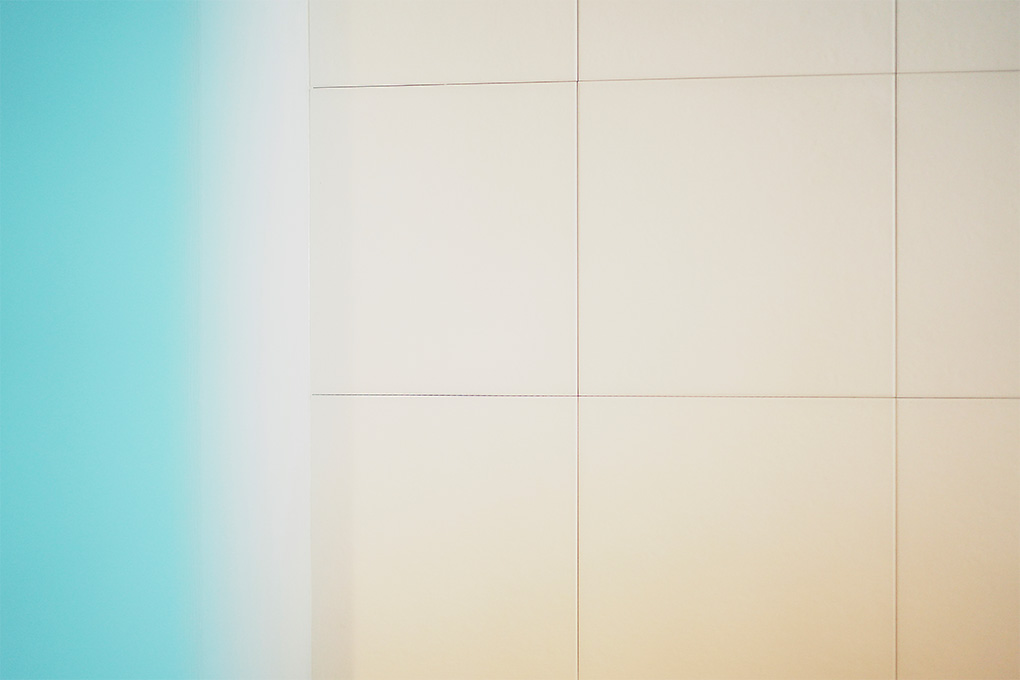 導入したエコカラット